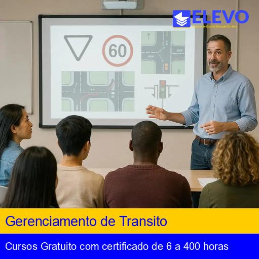 Gerenciamento de Transito